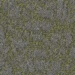 Salina Gold farba 9514