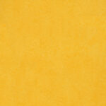 farba 3251 lemon zest