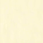 0005 Yellow