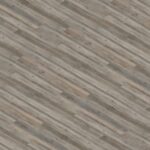 WELL-click-Borovice-sibirska-40128-1-e1571042531664