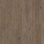 0360 Deep Forest