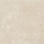 2135 Leone Cream