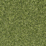 8623 Sedna