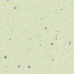 Eclipse PASTEL OLIVE 0077